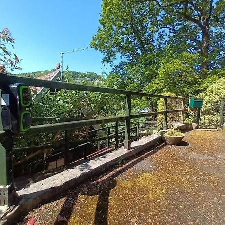 לינמאות' Treetop Cottage At Countisbury Lodge מראה חיצוני תמונה